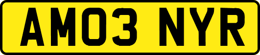 AM03NYR