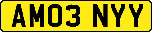 AM03NYY
