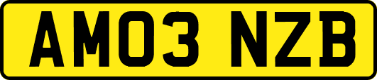 AM03NZB