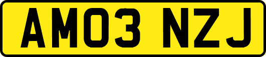 AM03NZJ