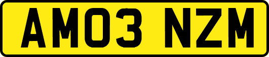 AM03NZM