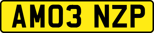 AM03NZP