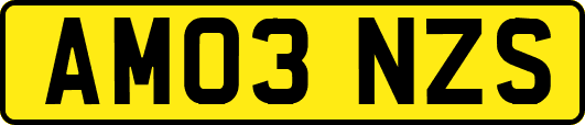 AM03NZS