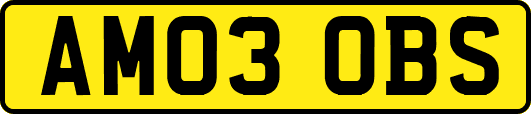 AM03OBS