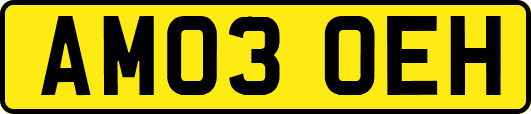 AM03OEH
