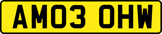 AM03OHW