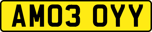 AM03OYY