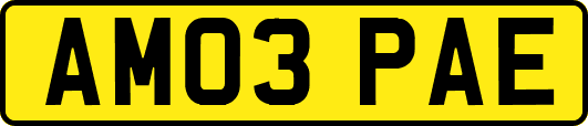 AM03PAE