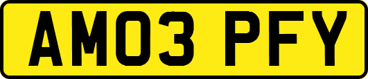AM03PFY