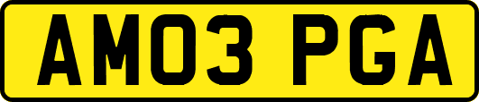AM03PGA