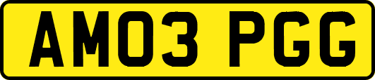 AM03PGG