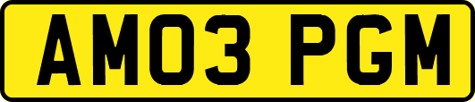 AM03PGM