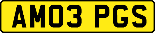 AM03PGS