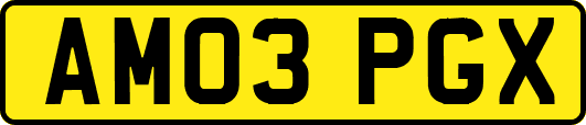 AM03PGX