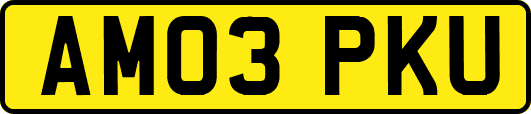 AM03PKU