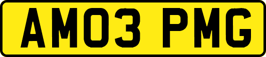 AM03PMG