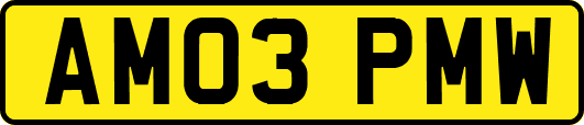 AM03PMW
