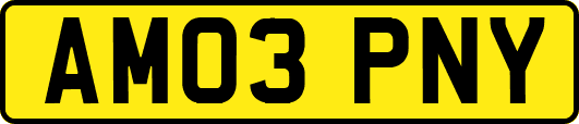 AM03PNY