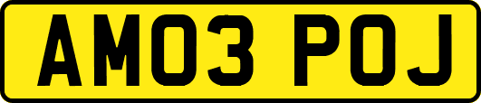 AM03POJ