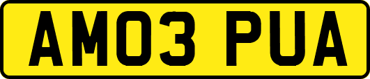 AM03PUA
