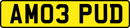 AM03PUD