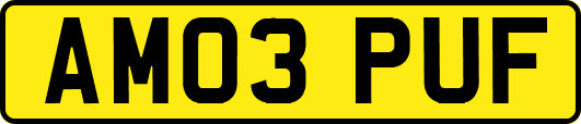 AM03PUF