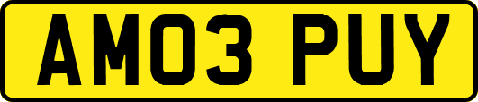 AM03PUY