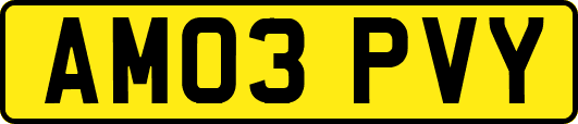 AM03PVY