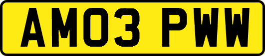 AM03PWW