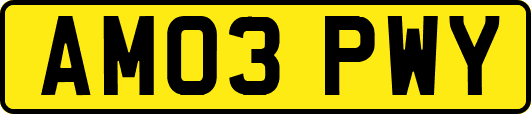 AM03PWY