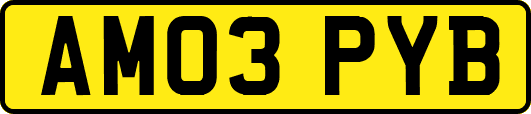 AM03PYB