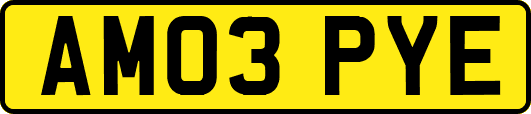 AM03PYE