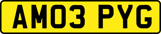 AM03PYG
