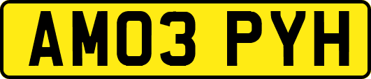 AM03PYH