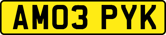 AM03PYK