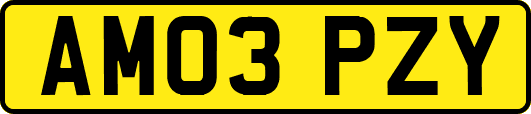 AM03PZY