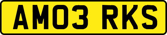 AM03RKS