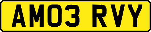 AM03RVY