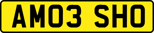 AM03SHO