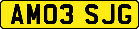 AM03SJG
