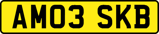 AM03SKB