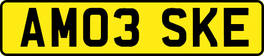 AM03SKE