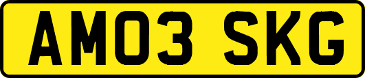 AM03SKG