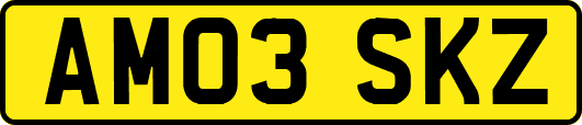 AM03SKZ