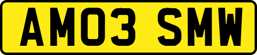 AM03SMW