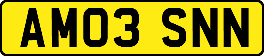AM03SNN
