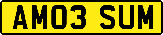 AM03SUM