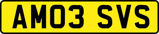 AM03SVS