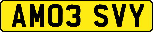 AM03SVY
