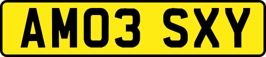 AM03SXY